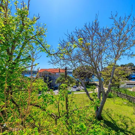 Apartment And Petar